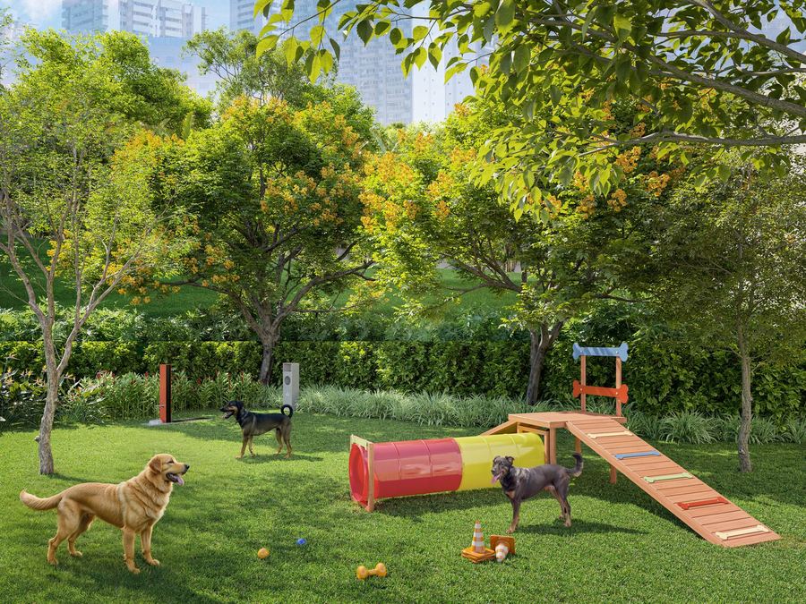 Perspectiva ilustrada do Pet Place